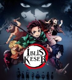 Demon Slayer Kimetsu no Yaiba