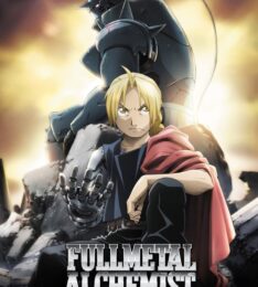 Fullmetal Alchemist Brotherhood