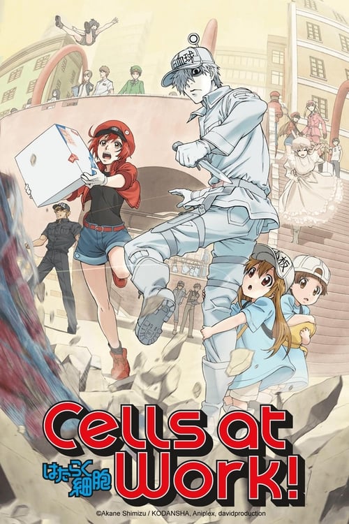 Cells at Work! : 1.Sezon 6.Bölüm