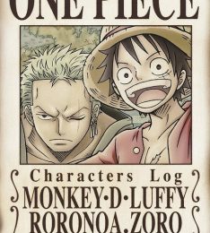 One Piece Characters Log