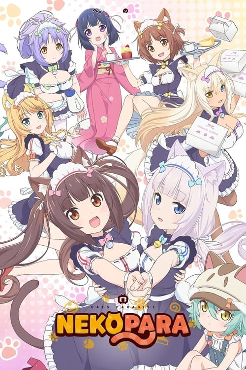 Nekopara : 1.Sezon 11.Bölüm